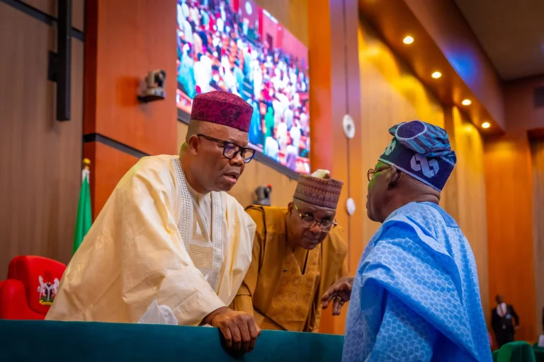 NASS Inserted 11,122 Projects Worth N6.93 Trillion in 2025 Budget – BudgIt