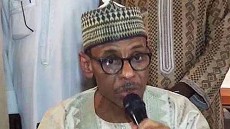 2027: Baba-Ahmed Urges Opposition to Unite, Warns of Aiding Tinubu’s Victory