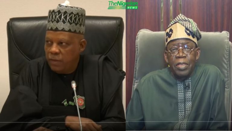 Northeast Stakeholders Endorse Tinubu for 2027, Stir Tensions Over Shettima’s Silence