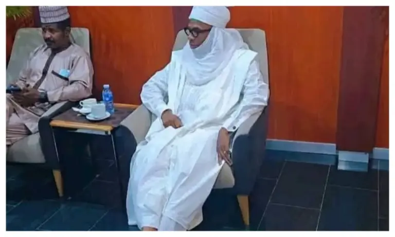 Amaechi’s Cultural Tribute: Wears Turban in Daura for Buhari