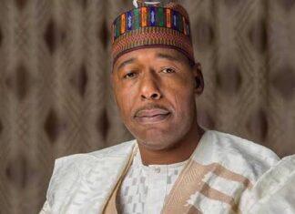 Governor Zulum Appoints New Board for Bureau of Public Procurement