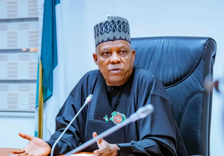 We’re Investing in MSMEs to Boost Jobs, Cut Poverty, and Grow GDP – Shettima