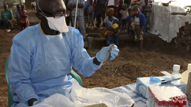 Deadly Lassa Fever Surge: Nigeria Reports 822 Cases, 155 Fatalities