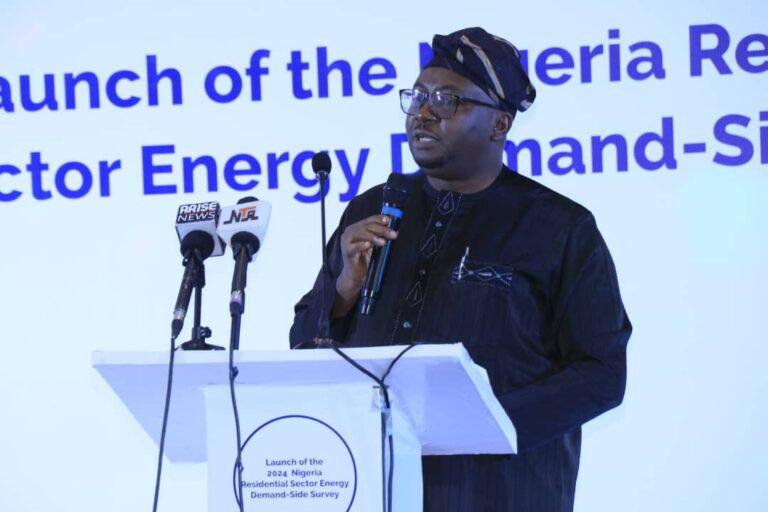 FEC Approves Major Funding for Power Sector: N13B Compensation, $34M Transformers