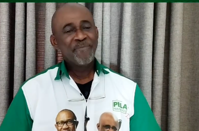 Pela Predicts 2027 Election Showdown Between People and Government