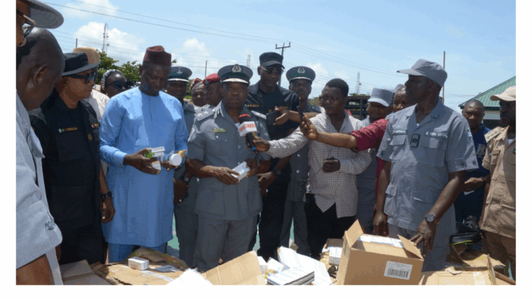 N10 Billion Worth of Arms and Expired Drugs Seized by Customs