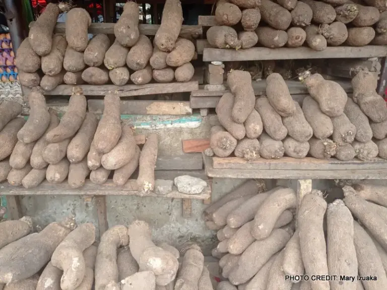 Abuja Yam Prices Hit Peak as Transportation and Fuel Costs Climb