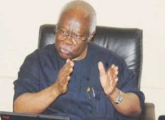 My children can’t get job in Nigeria due to my name – Bode George Laments