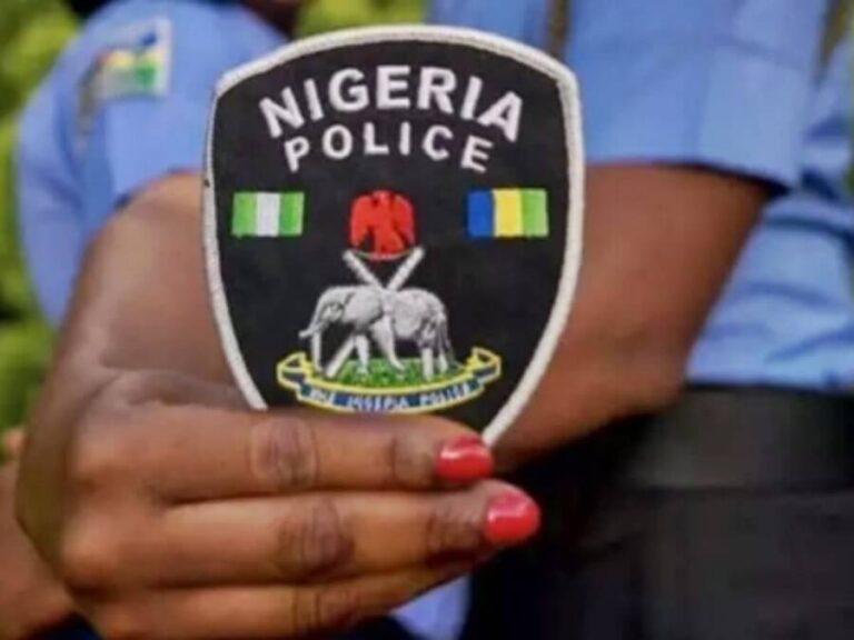 Woman in Kaduna Reports Assault, Intimidation by Market Rival and Police Officer to DIG