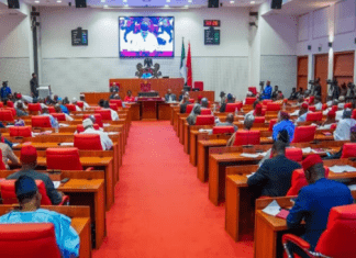 FG Gets Two-Week Ultimatum from Senate to Submit 2024 Budget Report