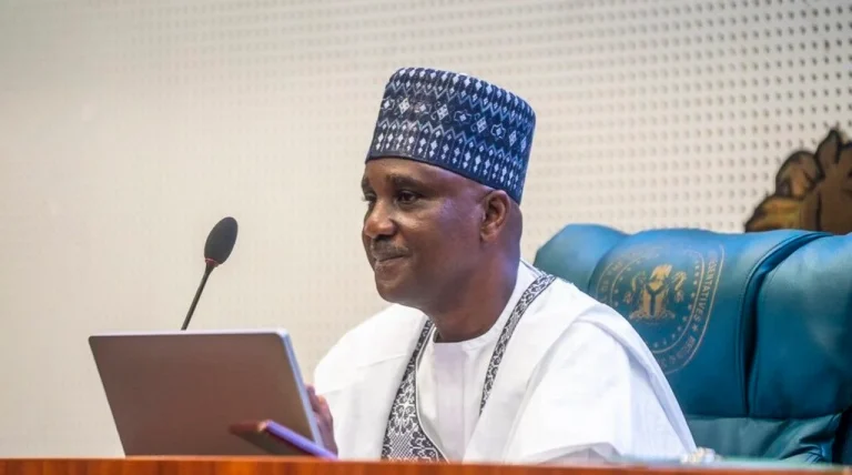 House of Reps Sets New Agenda on Constitution Amendment, Electoral Reform