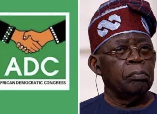 ADC Explains Coalition’s Goal: To Stop Nigeria from Turning into a One-Party Nation