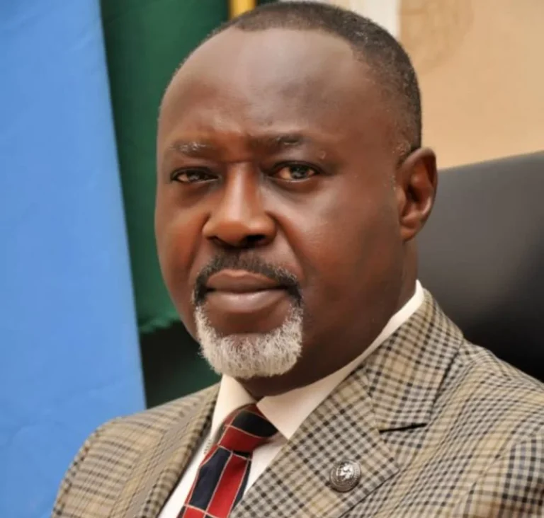 INEC Must Use Anambra Governorship Election to Prove Credibility – LP Candidate