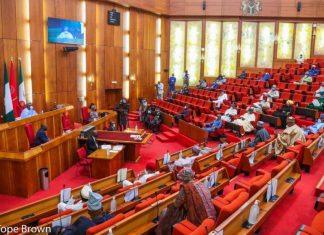 Senate Rejects Bow and Go Screening for Musa, Cites Pressure: ‘Trump Is On Our Neck’