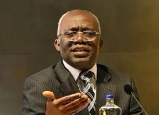 Nigeria Only Commonwealth Nation With Highly Restrictive Locus Standi — Falana