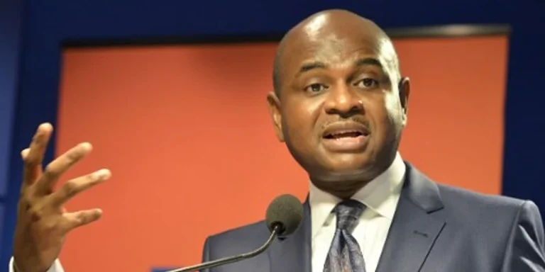 Moghalu: I’m Shocked by Ambassadorial Nominees’ Past Attacks on Tinubu