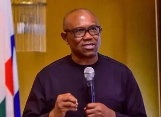 Peter Obi Blasts FG Over Alleged Lavish Vehicle Distribution to Political Aides