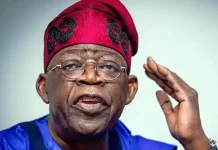 NEF Stance on FIRS Disowned by Northern Elders, Tinubu’s Reforms Get Endorsement