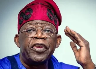NEF Stance on FIRS Disowned by Northern Elders, Tinubu’s Reforms Get Endorsement