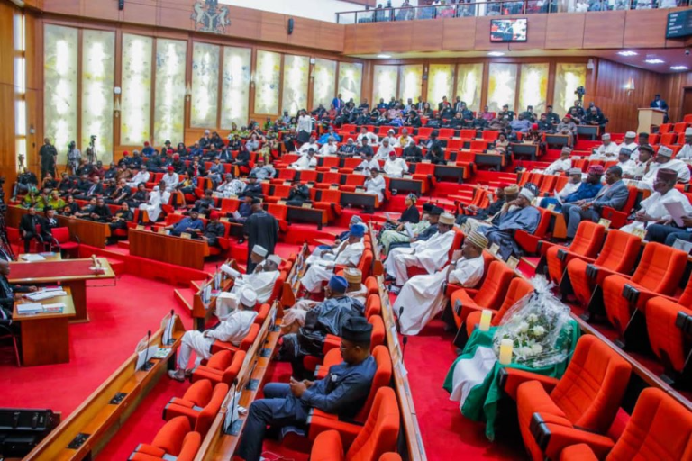 Power Play and Personalities Dominate Senate Ambassadorial Screening Drama