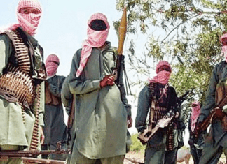 Dangerous Precedent’: Katsina Under Fire for Releasing 70 Suspected Bandits