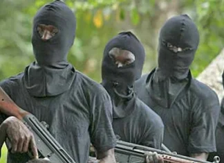 Gunmen Abduct Doctor and Brother in Edo on New Year’s Day
