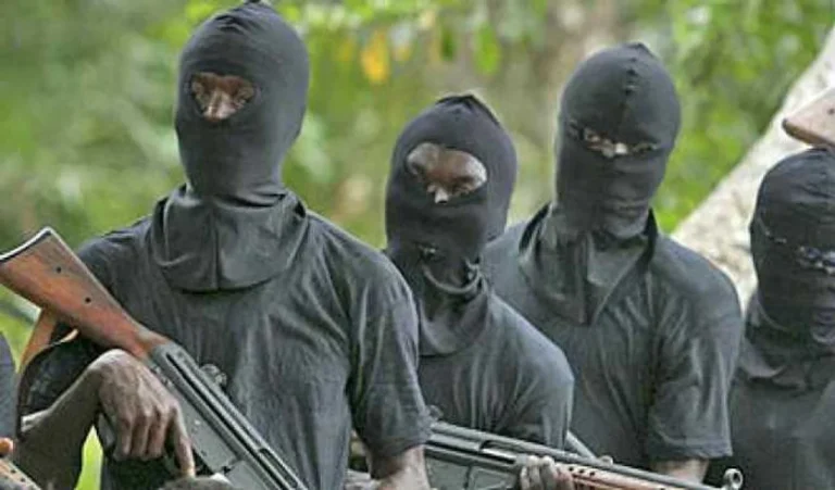 Gunmen Abduct Doctor and Brother in Edo on New Year’s Day