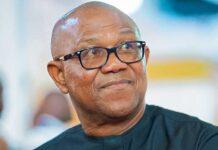 ADC Kicks Off Council Election Campaign with Peter Obi Storming FCT