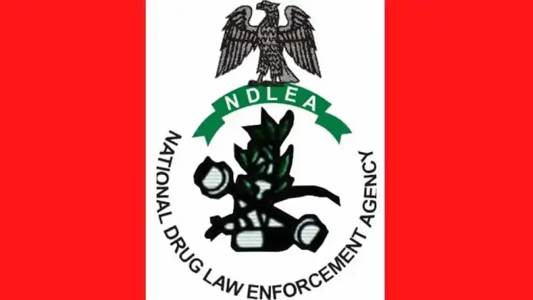 NDLEA Arrests 1,389 Suspects, Seizes 7,773kg of Illicit Drugs in Kano