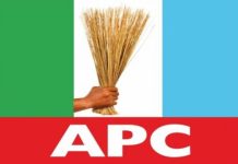 Lagos APC Describes Rivers, FCT, Kano By-Elections as Referendum on Tinubu