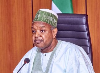 Bagudu Defends Tinubu, Warns Against Regional Bias in Assessment