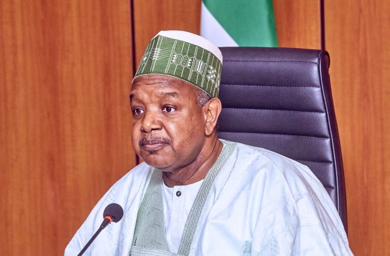 Bagudu Defends Tinubu, Warns Against Regional Bias in Assessment