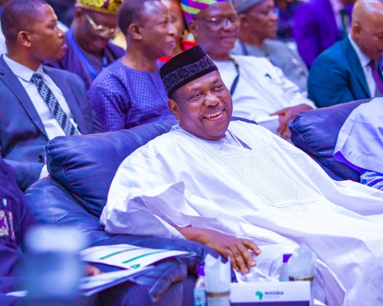 Beyond the Noise: Why Akume and Alia Are Not Political Adversaries