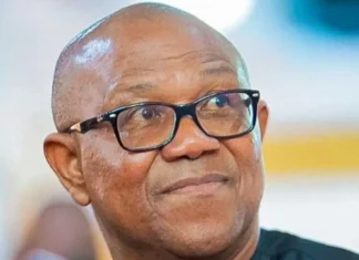 I’m Running for President in 2027 — Peter Obi Turns Down VP Offer