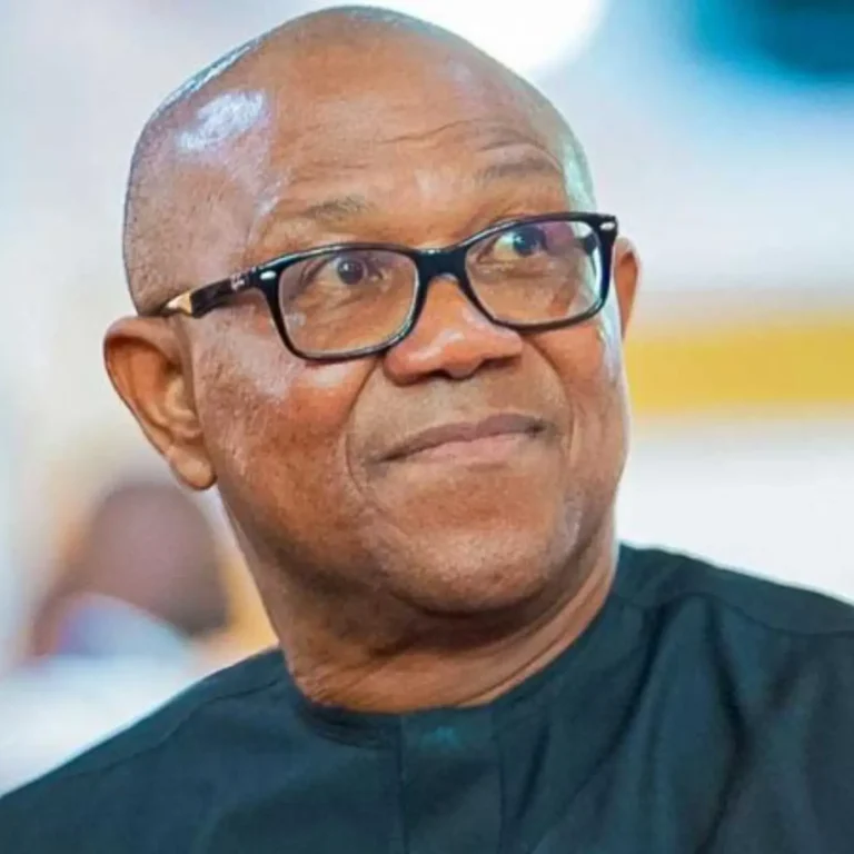 I’m Running for President in 2027 — Peter Obi Turns Down VP Offer