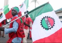 Unpaid Salaries Spark NLC, TUC Solidarity Rally for FCDA Staff