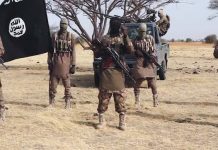 Food Convoy Attacked, Vehicles Torched by Boko Haram Near Maiduguri