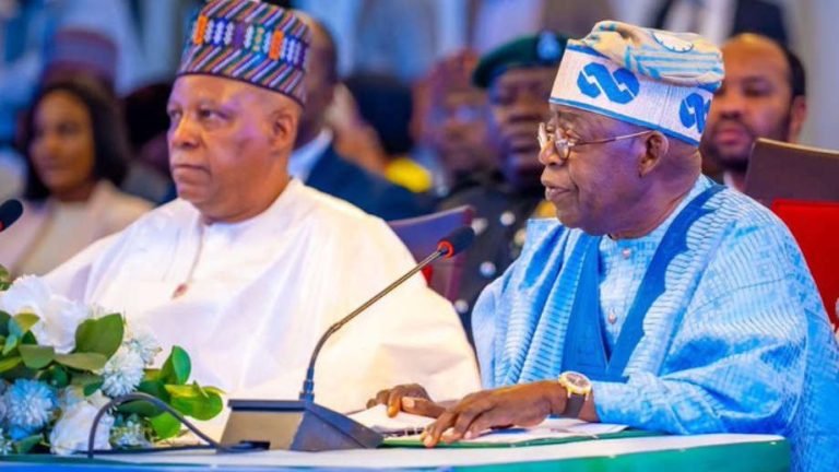 INEC Portal Update: APC Submits Uzodimma, Buni, Others’ Details, Sets Date For Tinubu And Running Mate