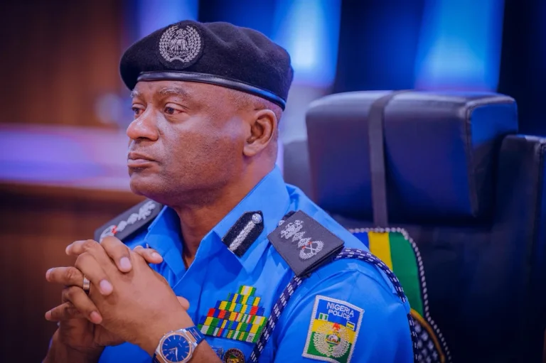 Insecurity: IGP Directs Police To Shoot Armed Gunmen On Sight
