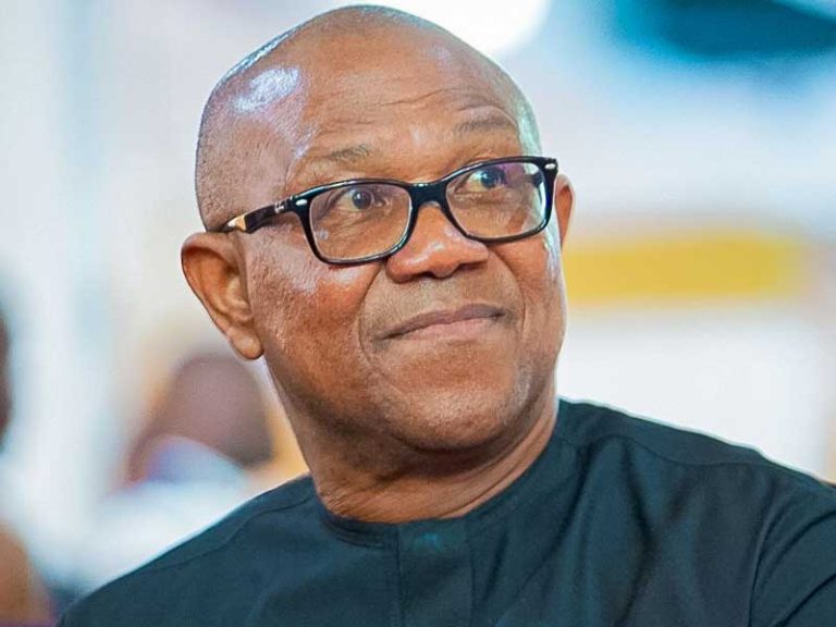 NDC Chieftain Backs Peter Obi to Tackle Nigeria’s Security, Economy