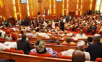 Nigeria’s Senate Calls on Facebook, TikTok to Set Up Local Offices