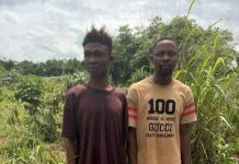 Delta Police Uncover Alleged Self-Kidnap Plot, Suspect Confesses to N25m Extortion Scheme