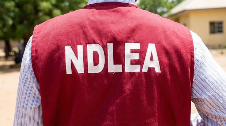Over 2.5 Tonnes of Illicit Drugs Recovered in Edo as NDLEA Arrests 49