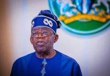 Nigeria’s 2027 Presidential Election: Beyond Judging Tinubu’s Government