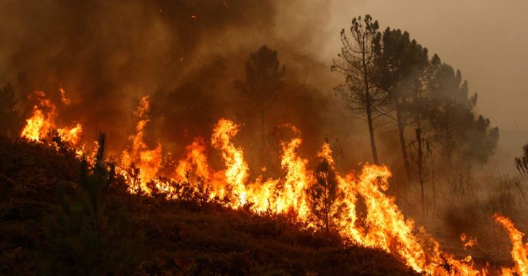 Indonesia Deploys Aircraft to Battle Worsening Forest Fires
