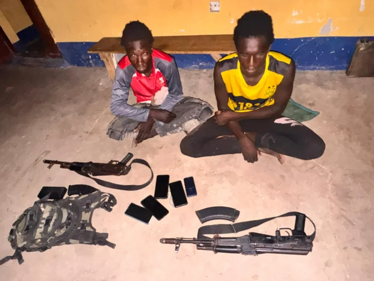 Borno: Two Suspected ISWAP Members Surrender to Troops