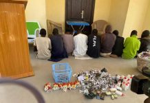 Yobe Drug Crackdown: Army Arrests Nine Suspects, Transfers Seized Drugs to NDLEA