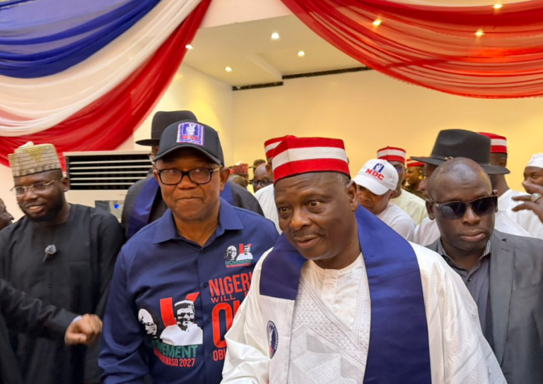 NDC Rejects 59-Member Campaign Council Linked to Peter Obi, Kwankwaso Supporters